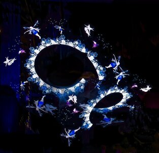 25A04360bridgewater glow moonlight gardener.jpg