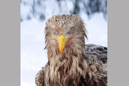 frame at 0m8s_gigapixel-art-scale-6_00x-gigapixel-hq-scale-0_50x.jpg