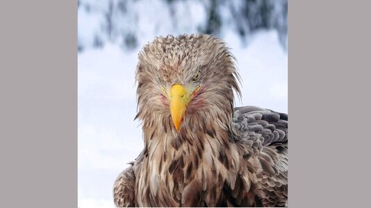 C0102 - frame at 0m8s.jpg