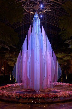 Cloth Tree - Longwood - 12032025 - 01.jpg
