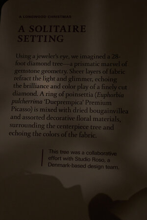 Cloth Tree - Longwood - 12032025 - 02.jpg