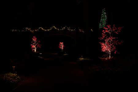 Lights - Longwood - 12032025 - 02.jpg