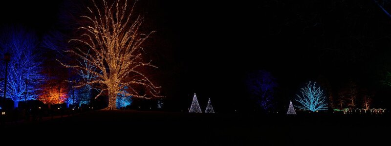 Lights - Longwood - 12032025 - 04.jpg