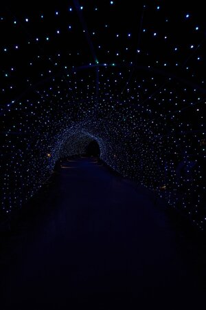 Lights - Longwood - 12032025 - 01.jpg