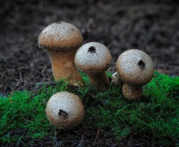 untitled (1 of 2).jpg