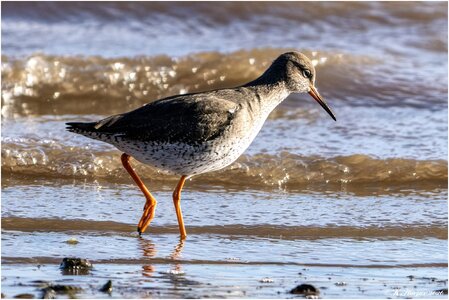 DSC08586 Firefly Upscaler 2x scale.jpg