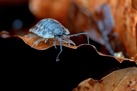 20260225-DSC05975-DxO_DeepPRIME XD2s-Edit.jpg