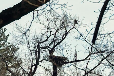 DSC02022.jpeg