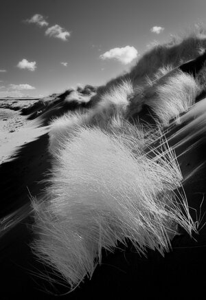 20260328-DSC08533-Edit.jpg