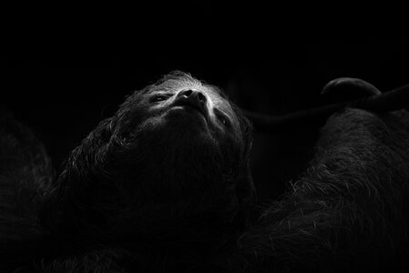 _A933300-Edit.jpg