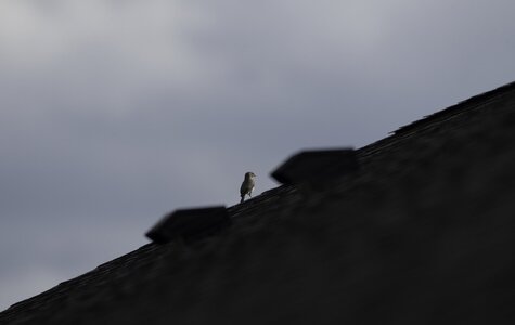DSC02981.jpeg