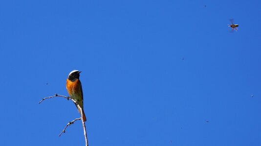 2024_04R_0385a_usm_600.JPG
