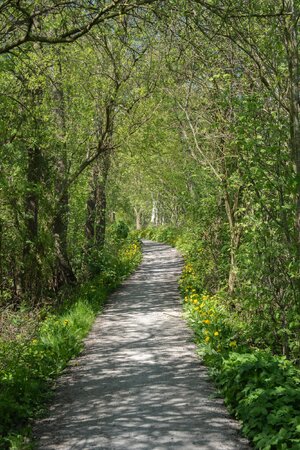 _DSC7886.jpg