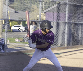 Ant_swing.JPG