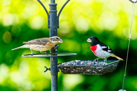 JRV02936.jpg