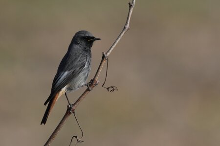 DSC02309.JPG