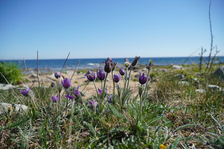 DSC04190.JPG