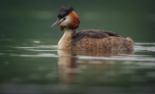 Bits and Bobs-8.jpg