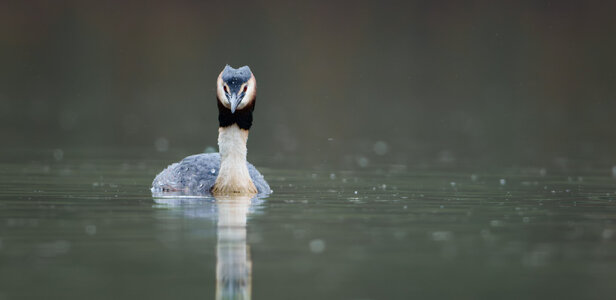 Bits and Bobs-9.jpg