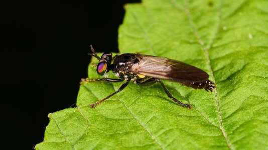 AA_06580.jpg