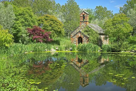 26A04780larch cottage garden.jpg