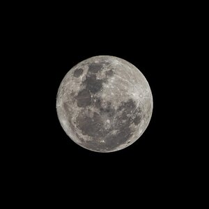 _7RV7820_Small_Blue_Moon.jpg