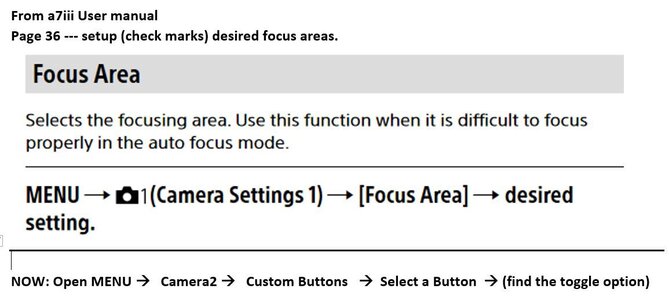 a73 Toggle Foc Area.JPG