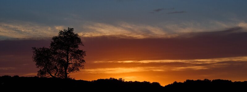 AA_03452.jpg