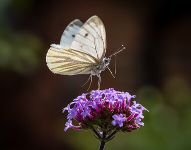 PRJ07613-Edit.jpg