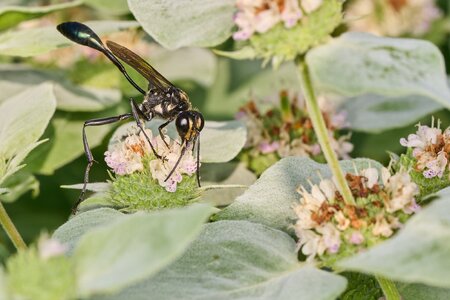 AA_04955.jpg