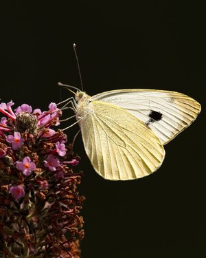 7R509210.jpg
