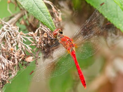 7R509403.jpg