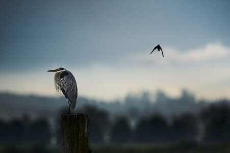 AII03350.jpg