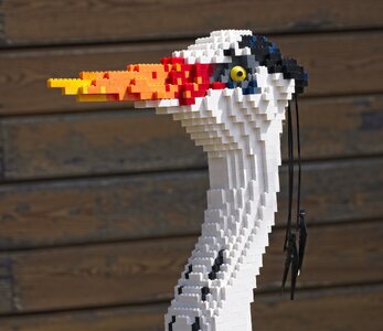 26A08877brick grey heron.jpg
