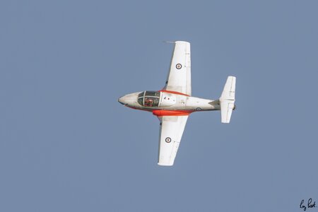 Snowbird_DSC8675.jpg