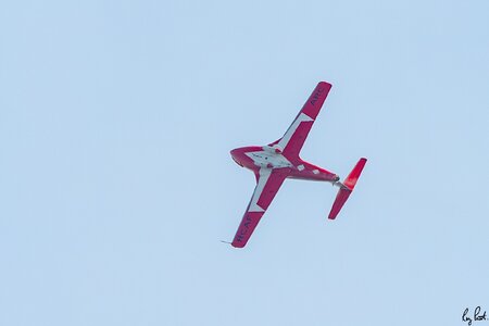Snowbird-8439.jpg