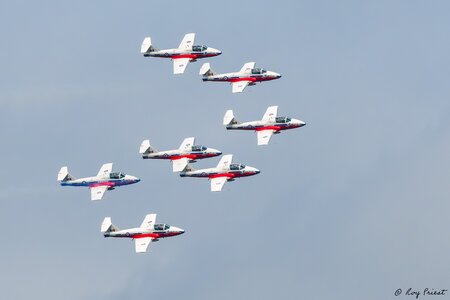 Snowbirds-27657.jpg