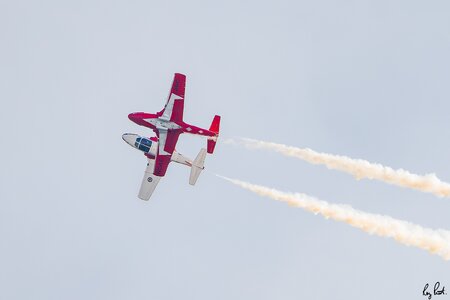 Snowbird-8776.jpg