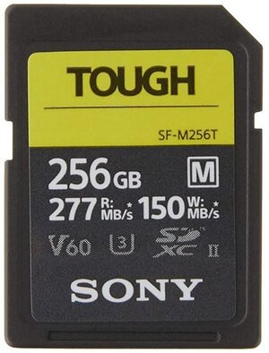 Sony Tough SD card.JPG