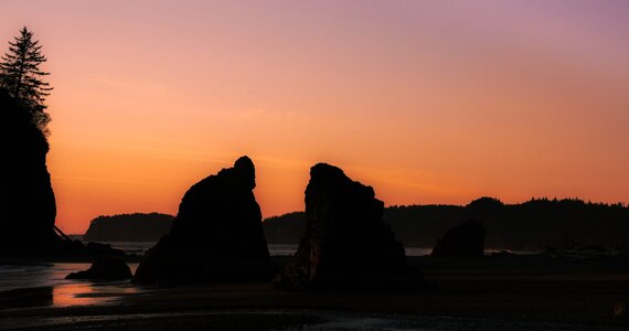 DSC00352 (1).jpg
