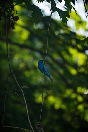 20210808-_JRD8048.jpg