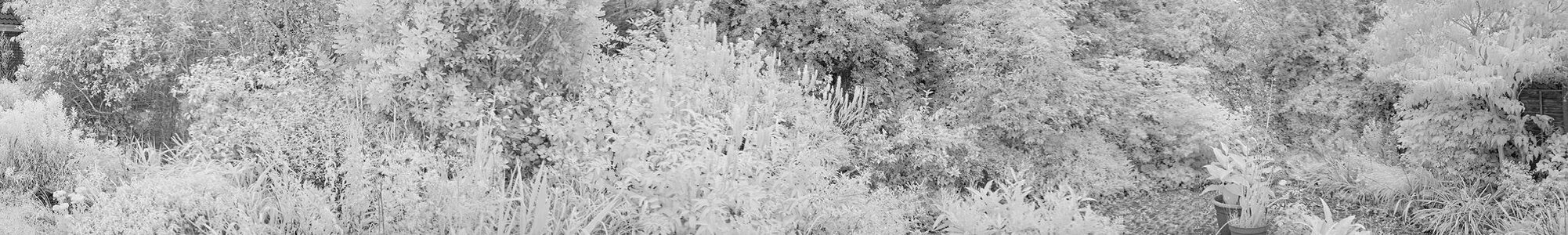 DSC02503 copy.jpg DSC02503 copy.jpg