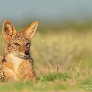 _DSC7754-Recovered.jpg