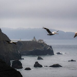 Flight past the Marin Headlands