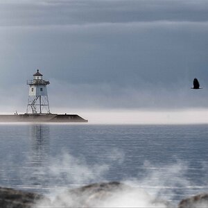 Lighthouse on a Foggy Morning--Cue the Eagle...