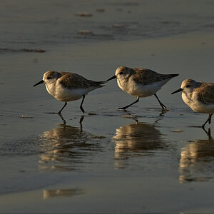 Early morning at beach