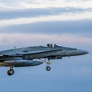 First F18.jpg