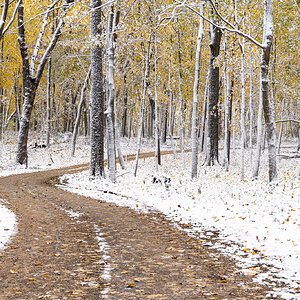 Snowy winding road