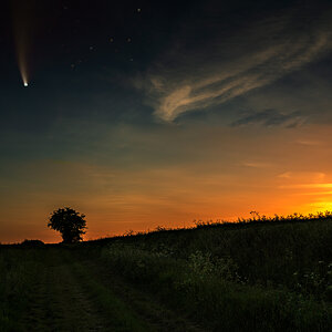 Comet Neowise over Standon.jpg