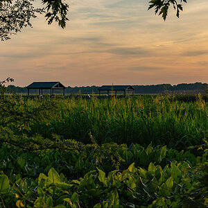 Heinz Sunset-l-08560-D.jpg